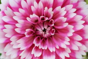 Laura Briedis KK2PG08KNYc Unsplash Laura Briedis KK2PG08KNYc Unsplash