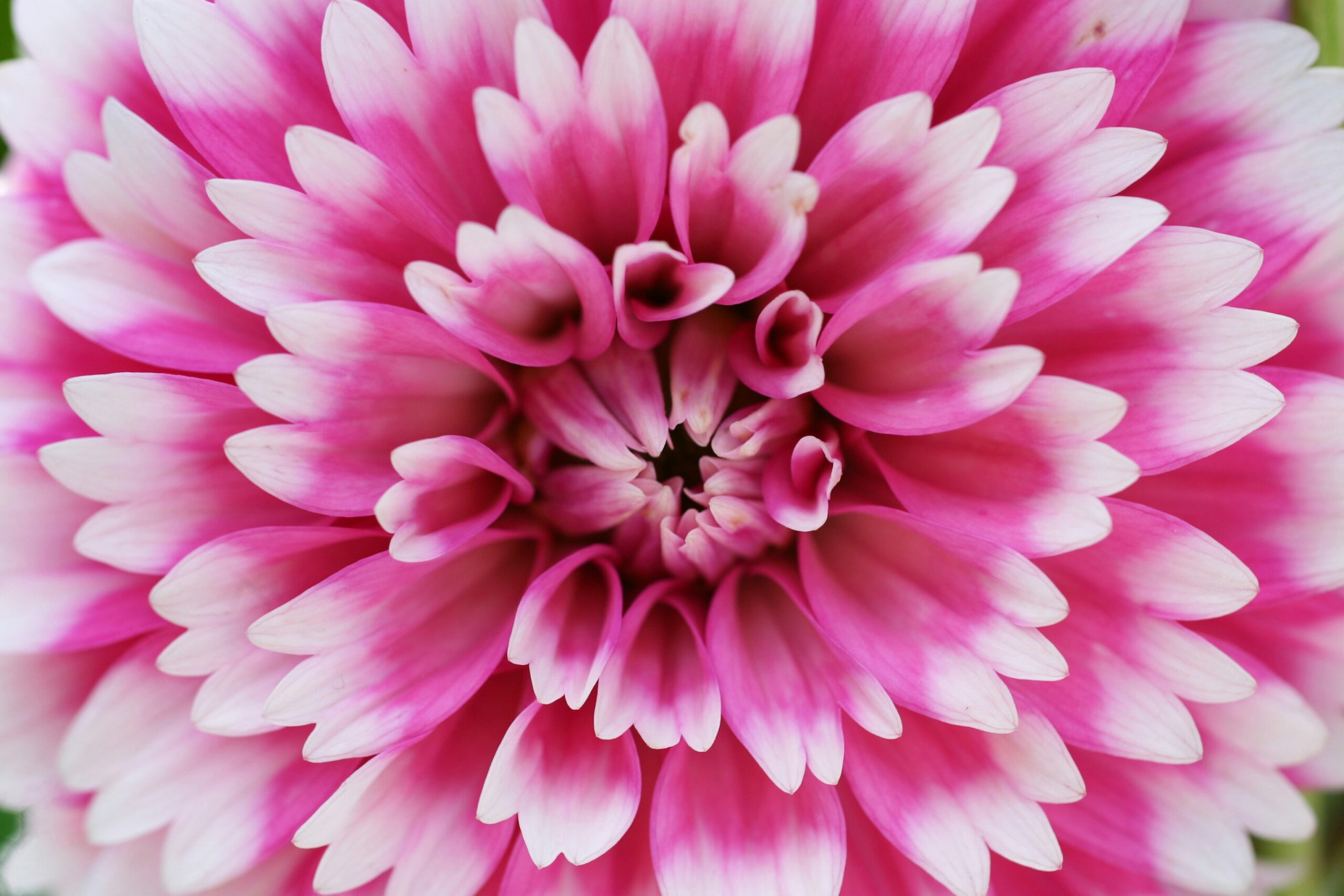 Laura Briedis KK2PG08KNYc Unsplash